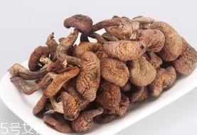 榛蘑的热量 榛蘑会让人长胖吗 榛蘑的热量 榛蘑会让人长胖吗