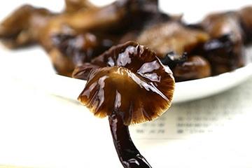 榛蘑的热量 榛蘑会让人长胖吗 榛蘑的热量 榛蘑会让人长胖吗