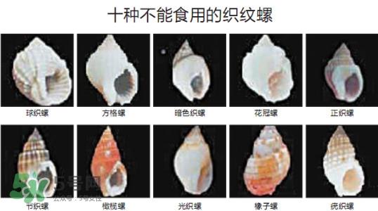 哪些人不能吃田螺?哪些田螺不能吃 哪些人不能吃田螺?哪些田螺不能吃