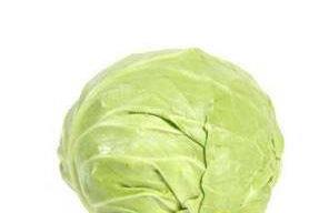 牛心菜怎么种植?牛心菜能种吗? 牛心菜怎么种植?牛心菜能种吗?