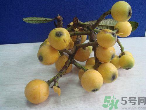 枇杷没熟怎么办?枇杷没熟可以吃吗