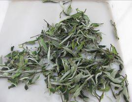 东白春芽产于哪里 东白春芽什么档次 东白春芽产于哪里 东白春芽什么档次