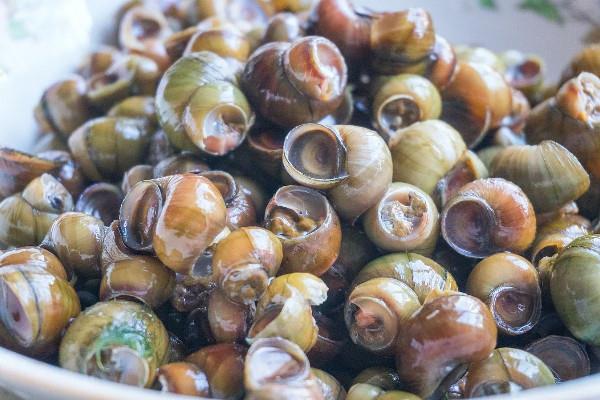 螺蛳怎么吃吃哪个部位 螺蛳有沙能吃吗 螺蛳怎么吃吃哪个部位 螺蛳有沙能吃吗