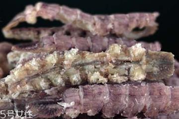 皮皮虾干怎么做好吃 皮皮虾干的吃法