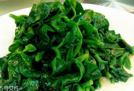 穿心莲苦吗 入药的穿心莲是苦味的 穿心莲苦吗 入药的穿心莲是苦味的