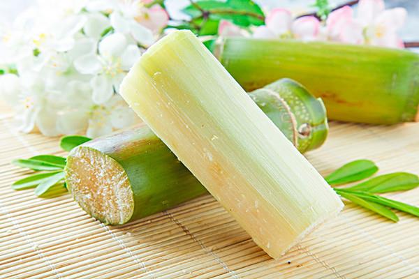 甘蔗会不会胖 甘蔗会不会回奶 甘蔗会不会胖 甘蔗会不会回奶