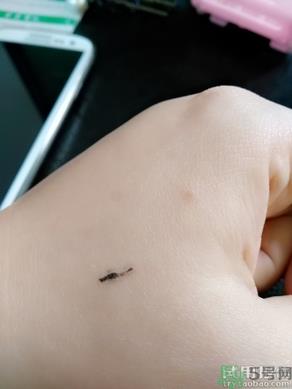 悦诗风吟睫毛膏使用方法 悦诗风吟睫毛膏怎么用? 悦诗风吟睫毛膏使用方法 悦诗风吟睫毛膏怎么用?