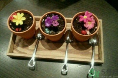 ​盆栽冰淇淋哪里买？盆栽冰淇淋怎么做？