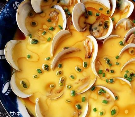 文蛤和白蛤的区别 文蛤和白蛤是一样的吗? 文蛤和白蛤的区别 文蛤和白蛤是一样的吗?