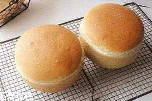 奶酪包热量高吗 一个奶酪包热量 奶酪包热量高吗 一个奶酪包热量