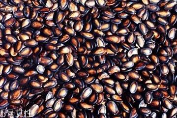 西瓜子能放冰箱吗?西瓜子的保存方法 西瓜子能放冰箱吗?西瓜子的保存方法