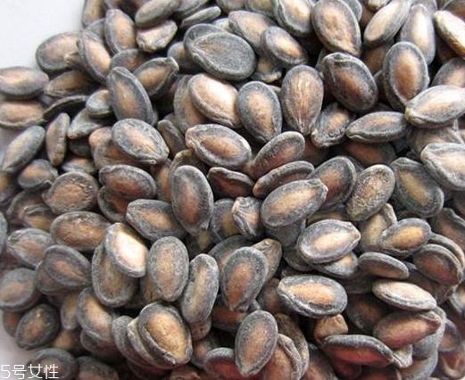 西瓜子能放冰箱吗?西瓜子的保存方法 西瓜子能放冰箱吗?西瓜子的保存方法