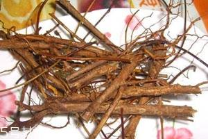 地骨皮多少钱一斤 食用方法 地骨皮多少钱一斤 食用方法