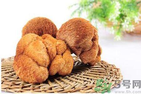 猴头菇是发物吗?猴头菇是不是发物? 猴头菇是发物吗?猴头菇是不是发物?