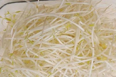 ​绿豆芽有点苦怎么回事 绿豆芽发苦还能吃吗