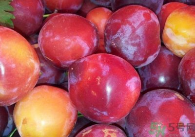 ​李子就是梅子吗？李子和梅子有什么不同？