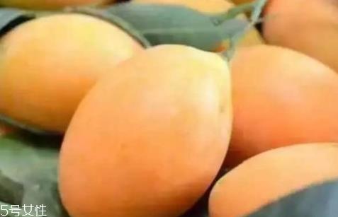 枇杷芒多少钱一斤?品质越好价格越贵 枇杷芒多少钱一斤?品质越好价格越贵