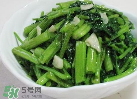 通心菜怎么保存?通心菜怎么保鲜?