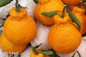 丑柑多少钱一斤 丑柑的挑选方法 丑柑多少钱一斤 丑柑的挑选方法