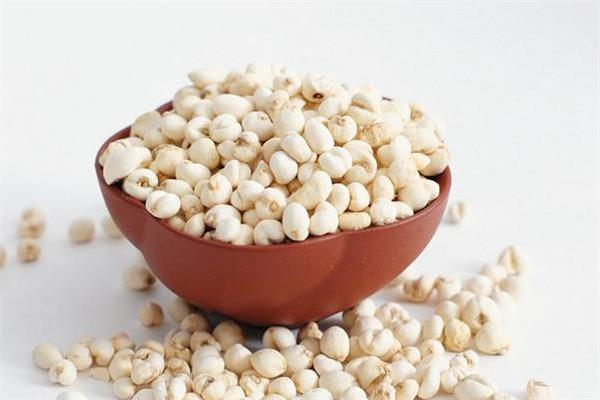 川贝和川贝母一样吗 川贝苦吗 川贝和川贝母一样吗 川贝苦吗