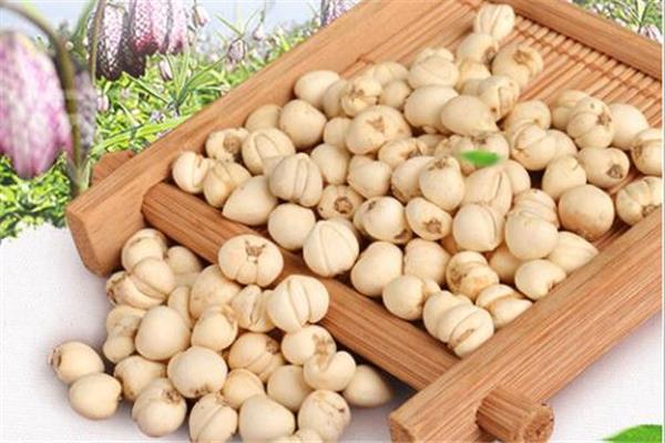 川贝和川贝母一样吗 川贝苦吗 川贝和川贝母一样吗 川贝苦吗