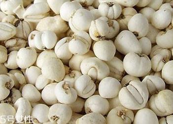 川贝母怎么煎 碾成粉状 川贝母怎么煎 碾成粉状