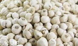 川贝母怎么煎 碾成粉状 川贝母怎么煎 碾成粉状