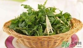 菊花脑是发物吗?菊花脑是不是发物 菊花脑是发物吗?菊花脑是不是发物