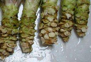 山葵的营养价值 两大要点 山葵的营养价值 两大要点