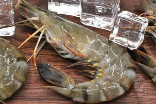 黑虎虾的虾线怎么挑 黑虎虾要去虾线吗 黑虎虾的虾线怎么挑 黑虎虾要去虾线吗