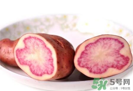 红心土豆是转基因吗?红心土豆能吃吗? 红心土豆是转基因吗?红心土豆能吃吗?