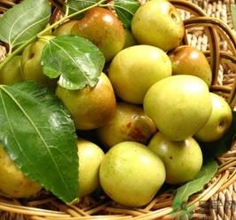 减肥可以吃冬枣吗?减肥什么时候吃冬枣好? 减肥可以吃冬枣吗?减肥什么时候吃冬枣好?