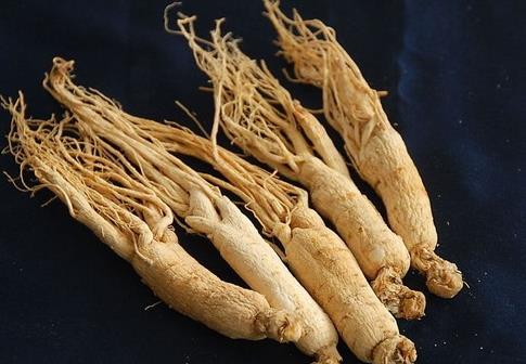 人参怎么保存时间久 参盒包装保存更久 人参怎么保存时间久 参盒包装保存更久