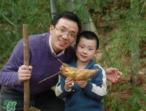 竹笋什么时候挖?竹笋几月挖? 竹笋什么时候挖?竹笋几月挖?