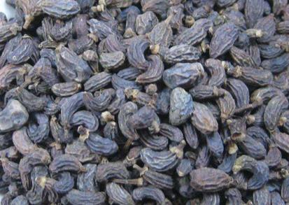 女贞子的吃法 女贞子怎么吃? 女贞子的吃法 女贞子怎么吃?