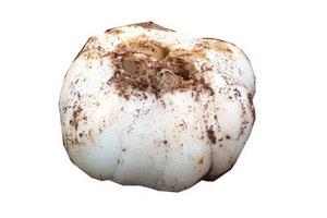 鲜百合怎么吃 食谱大全 鲜百合怎么吃 食谱大全