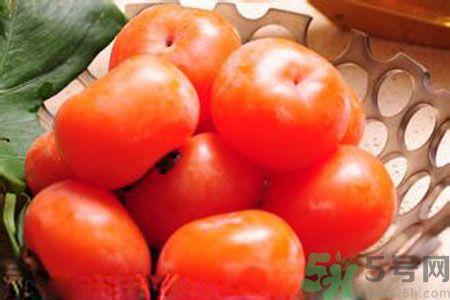 柿子不能和什么一起吃?柿子的食用禁忌 柿子不能和什么一起吃?柿子的食用禁忌