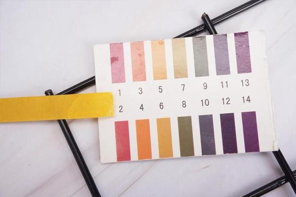 芭兰珂身体乳好用吗 改善粗糙皮强烈推荐 芭兰珂身体乳好用吗 改善粗糙皮强烈推荐