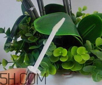 欧珀莱睫毛增长液怎么样_怎么用