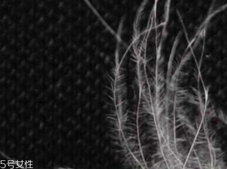 美丽绒是什么面料?适合用作毛毯家居 美丽绒是什么面料?适合用作毛毯家居