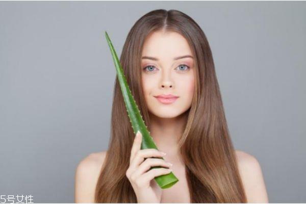 芦荟能补水吗 天天用芦荟擦脸好不好