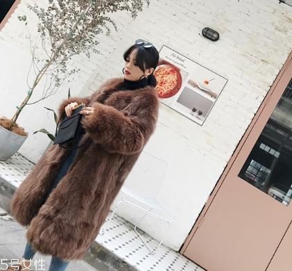 皮草和貂的区别是什么？貂是皮草的一种