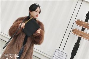 皮草和貂的区别是什么？貂是皮草的一种