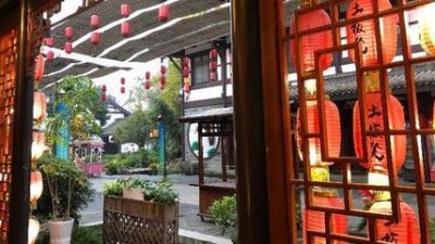 ​你对特价旅游有什么看法？