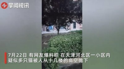 ​＂户主扔猫＂？一小区15只猫接连高坠而亡！警方回应→