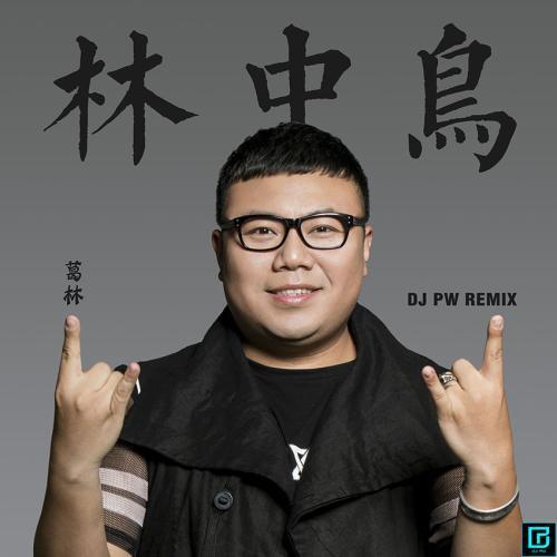 他给别人写的歌都红了，唯独没有把自己给写红——才华横溢的高进