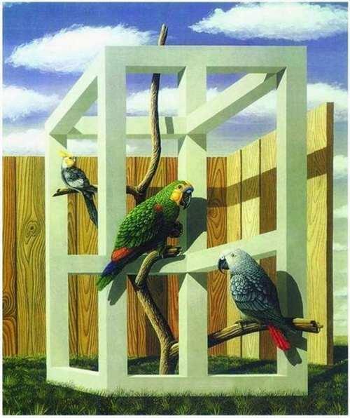 十张视错觉图片，堪称世界上最神奇的现象，看完后完全不敢相信