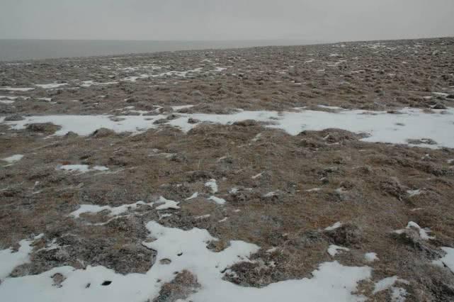 冻土是什么，它是生态难以割舍的一部分，气候变化的“指示器”