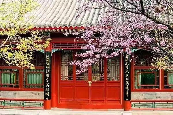 身贴“传奇”标签的林毅夫，为何人前落泪？