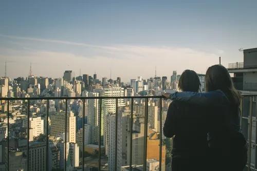 确定恋爱关系送什么花